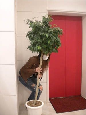 DSCN2175.JPG