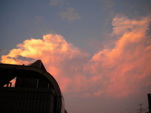 DSCN1951.JPG