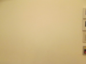 IMG_1034.JPG