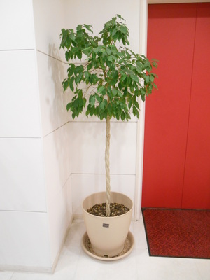 DSCN4144.JPG