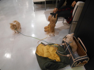 DSCN4598.JPG
