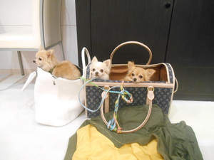 DSCN4600.JPG