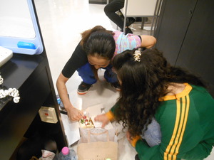 DSCN5037.JPG