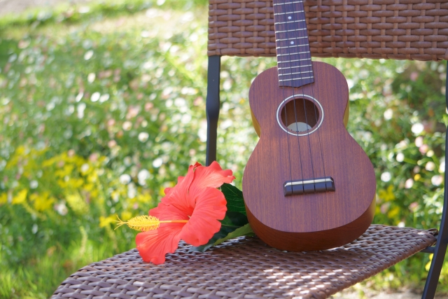 夏こそフラダンス フラダンスの魅力を徹底解説 ノアダンス教室 フラダンス Hula フラダンスの知識 コラム 夏こそフラダンス フラダンスの魅力を徹底解説 ノアダンス教室 フラダンス Hula フラダンスの知識 コラム