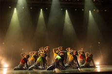 【速報】NOA DANCE CONNECT Vol.14 反響結果発表！